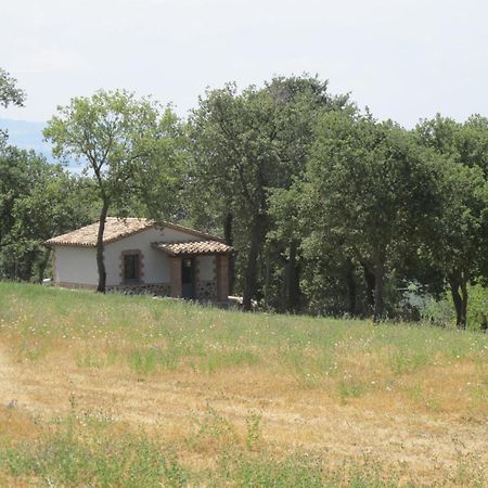 Holiday Home Il Podere Del Lago By Interhome Bolsena Bagian luar foto